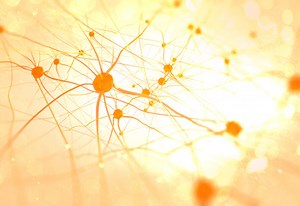 RDOC at 10: Sharpening the Science of Mental Health