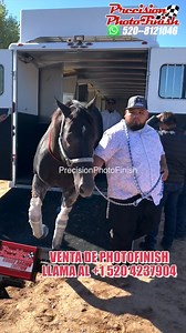 9.5K views · 184 reactions | Gato Negro alias Juan sin Miedo | Precision Photo Finish | Facebook