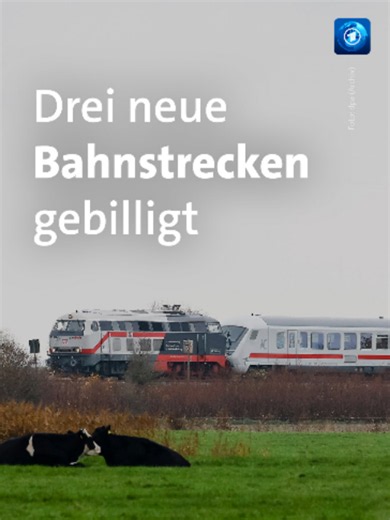 Der Bundestag hat den Planungen für drei neue Bahnstrecken zugestimmt: Den Ausbau der Strecke Niebüll-Westerland, die Neubaustrecke Dresden-Grenze nach Tschechien, die neue Verbindung Augsburg-Ulm. #bahn #zug #westerland #dresden #augsburg #tagesschau #nachrichten #news