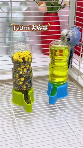 Parrot water fountain, dual-purpose for feeding and watering #feeder #waterer
