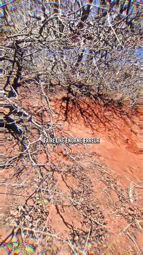 👀 Champion du monde de cache cache | Fitness-Muscu