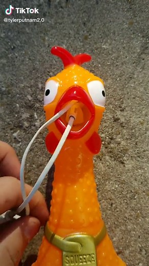 Silent Funny Surprise for Friends with Rubber Chicken ASMR