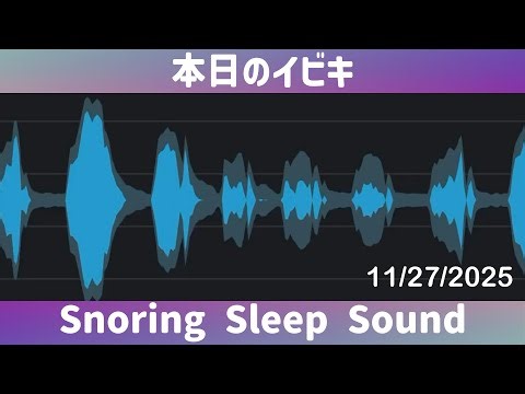 🐽 Snoring Sleep Sound