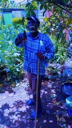 Jah Messenger (@jahmessenger49)’s videos with original sound - Jah Messenger