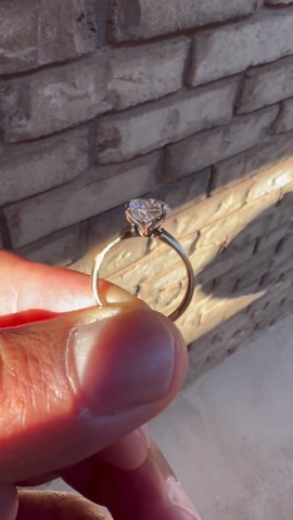 Ritani Diamond Local Jeweller Setting - Update / Review