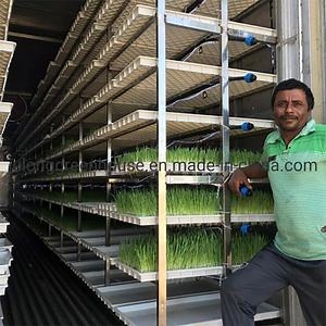 [Hot Item] Growing Shipping Container Vertical Hydroponics Farm with Hydroponic Fodder System for Hydroponics Grass