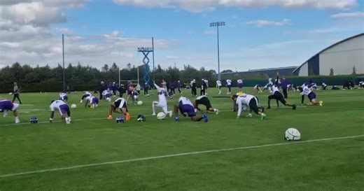 Minnesota Vikings train at the Sport Ireland Campus in Abbotstown