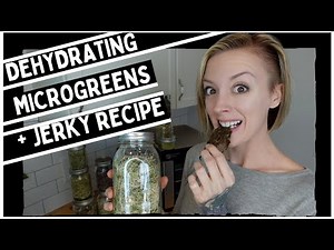 HARVESTING & DEHYDRATING Microgreens for HOMEMADE Jerky Recipe