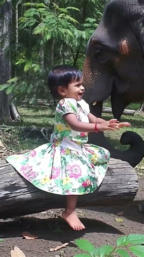 Baby Playing with Elephant