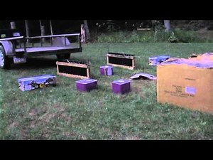 Birthday Party Fireworks Display