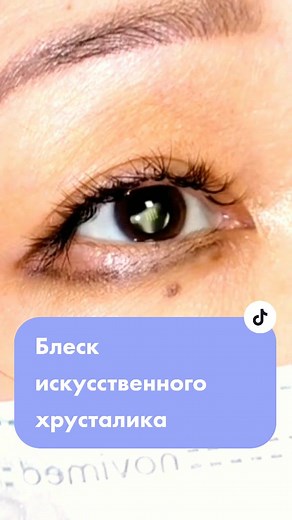 Exploring the Eye: The Psychologist's Perspective