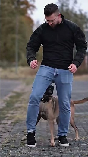 Learn K9 Commands Every Dog Should Know 🎯 #K9Commands #DogTraining #Obedience