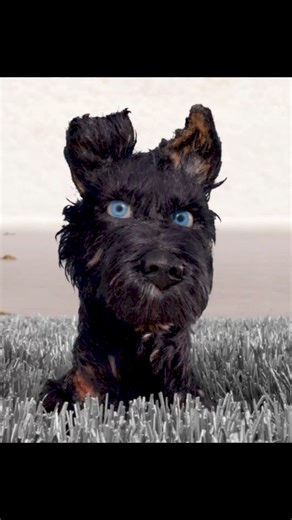 602K views · 30K reactions | He never bit once… ❤️ In Wes Anderson’s...