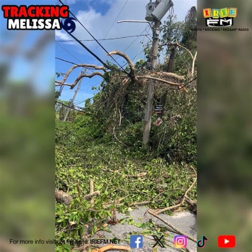 Cleanup work is underway in Breadnut Hill, Ocho Rios, as residents and emergency teams continue efforts to restore normalcy following the passage of Hurricane Melissa. One resident gave our Irie FM team a tour of the area, showing damage caused by the hurricane — including numerous fallen fruit trees and debris scattered across its path. #HurricaneMelissa #BreadnutHill #OchoRios #Jamaica #CleanupEfforts #DisasterResponse #CommunityRecovery #StaySafeJamaica | IRIE FM