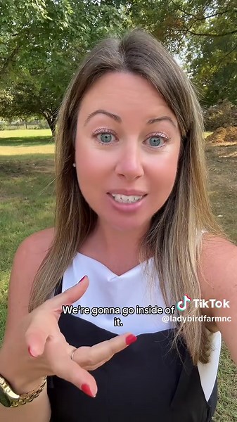 Ohhhh boy #lindseyatladybird