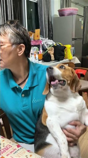 ไพ่นกกระจอกก็จะเล่น ลูกรักเองก็ทิ้งไม่ได้ 😅❤️