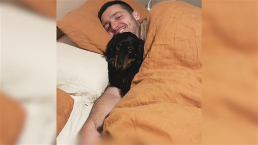 This TikTok trend shows what happens when you don’t crate train your dog. What starts with a crate and good intentions... ends with cuddles and shared pillows. | Knoxville News Sentinel