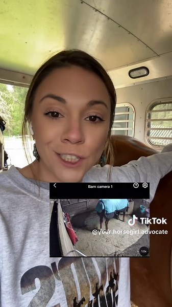 Best Barn Camera Hacks for Horse Owners