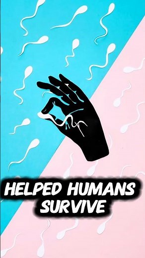 Why Do Humans Have Sex? 🤯 (Explained)