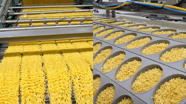 Factory Workers Displaying Unmatched Skills and Expertise