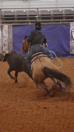 We get three cracks at them Saturday night in the Lone Star Shootout short round. (Colby does too… stay tuned for his videos.) @Stephenville Trailers @OptiWize Health @equiboss_performance @Unbeetable Feeds @Classic Rope @CINCH @Best Ever Custom Saddle Pads @FlowingTidePub_LV