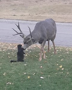 I feel like these two are actually good friends 😂 | Lessons Learned In Life
