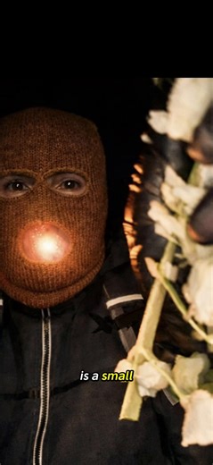 WHAT TO KNOW • The search for Nancy Guthrie is in its third week. The 84-year-old disappeared from her home in Tucson, Arizona, 18 days ago. • DNA found on a glove near Nancy Guthrie’s home as well as inside her residence didn’t produce a match in an FBI database, Pima County Sheriff Chris Nanos said. • An Arizona gun store owner told Fox News Digital that an FBI agent asked him to review recent firearm purchases tied to a list of nearly two dozen people. • The FBI released a description of the 