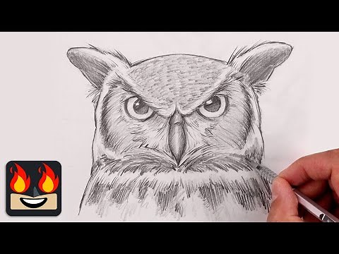 How To Draw a Great Horned Owl | Step By Step Sketch Tutorial