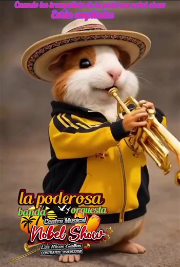 Videos de banda LA PODEROSA NOBEL SHOW (@nobelshow) con “sonido original - banda LA PODEROSA NOBEL SHOW”