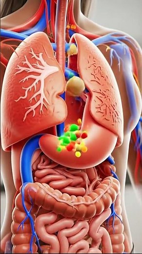 How Your Stomach Reacts After Eating Salad 🥗 | Healthy Digestion Explained#health #salad