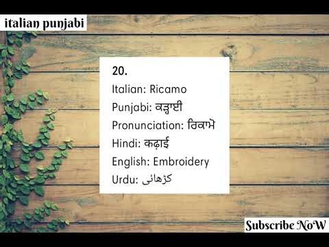 ITALY🇮🇹 ਬਹੁਤ ਸਾਰੇ ਨਵੇਂ ਸ਼ਬਦ ❤️ ITALY ❤️#languagelearning #learnitalian #italianpunjabi600 #study