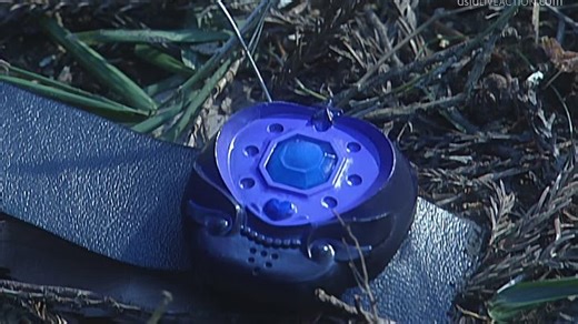 Sailor moon SUB S01E28