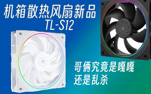 平民之王C12C接力者TL S12表现究竟怎么样呢？