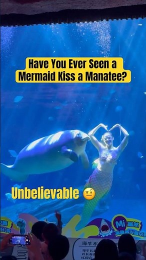 Mermaid Feeding and Kissing a Manatee Underwater 🧜‍♀️🐋