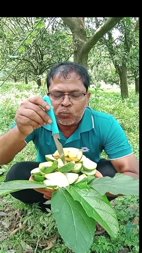 Eating raw mango sitting under the mango tree ## eats raw mangoes #fruit
