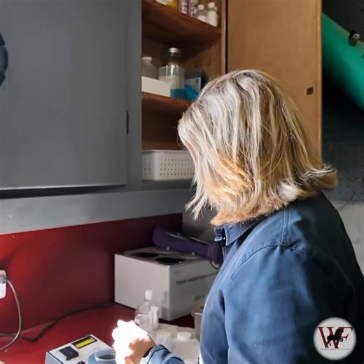 32K views · 1.7K reactions |  Celebrating Over 60 Years of...