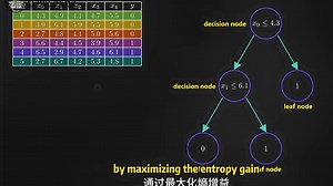 看动画秒懂「随机森林漫步」算法❗️