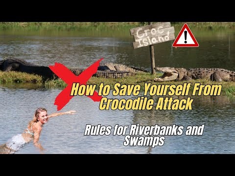 ❌ How to Avoid a Crocodile Attack 🐊 7 Tips How to Escape from Crocodile or Alligator Attack⚠️