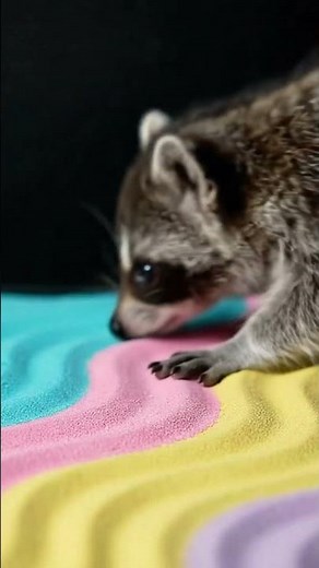 ASMR Cute Animals ✨ Relaxing Sounds & Triggers 🐾 Relax & Sleep 🌙 #asmr #relax #animals #sleep