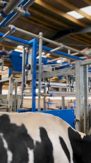 Introducing... Dairymaster UK! We are thrilled to announce the launch of our new Dairymaster UK page, dedicated to showcasing the best of Dairymaster across Great Britain. This page will run alongside our main account, bringing you localized updates, customer testimonials , and other tailored content from the UK dairy farming community.Follow for more and click the link below to check out our new Instagram page.🐄🇬🇧https://www.instagram.com/dairymasteruk?igsh=MTM4a21nZHBlenRkYg==&utm_source=qr