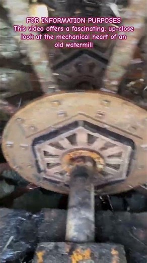 The Industrial Heartbeat: Inside a Working 19th Century Watermill #shorts #watermill #relatable