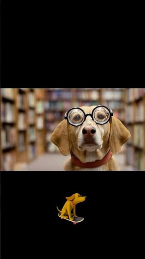 If you see a dog library in your area let us know. I love this idea📍🇨🇦