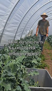 Turn Growing Food into a Real Income — Start Your Own Farm