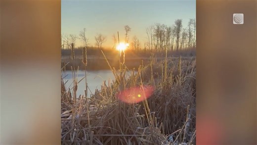 Frosty Sunrise Over a Manitoba Marsh