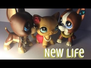 Lps - New life : épisode 7