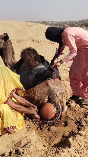 حياة البادية… قوة وتحدي