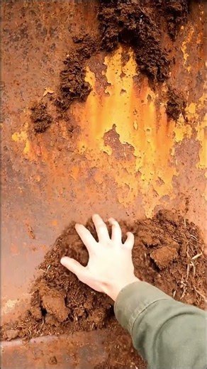 Discovering an Abandoned Bulldozer