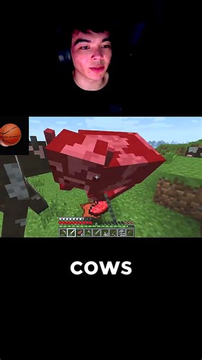 Too Many Cows in Minecraft Beta