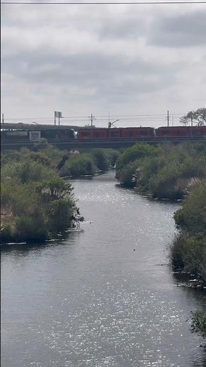 SDMTS Green Line Trolley crosses the San Diego River #sdmts #trolley #sandiego #trains