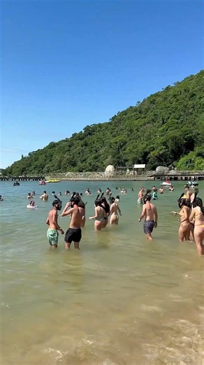 🇧🇷 Balneário Camboriú Beach A Beautiful Summer Day 4K